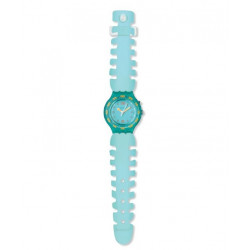 orologio Swatch spine SDN910