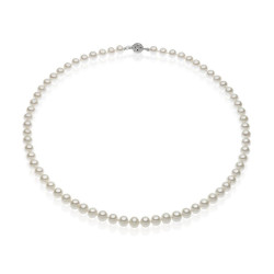 collier Comete FSM 119 B