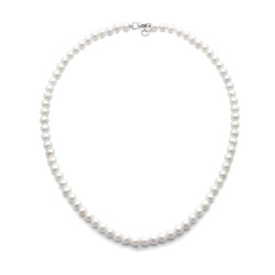 collier Comete FSM 117 D
